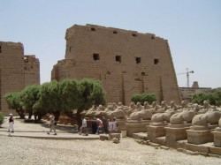 Výlet do Luxoru